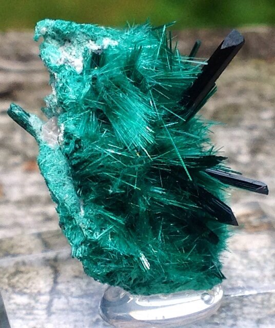 Brochantite
5.5 cm
(Autor: JC)
