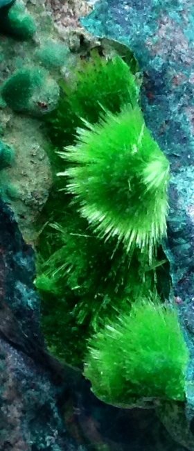 Cuprosklodowskite
6 cm
(Autor: JC)