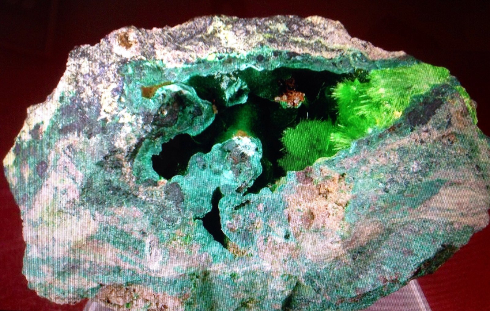 Cuprosklodowskite
6.6 cm
(Autor: JC)