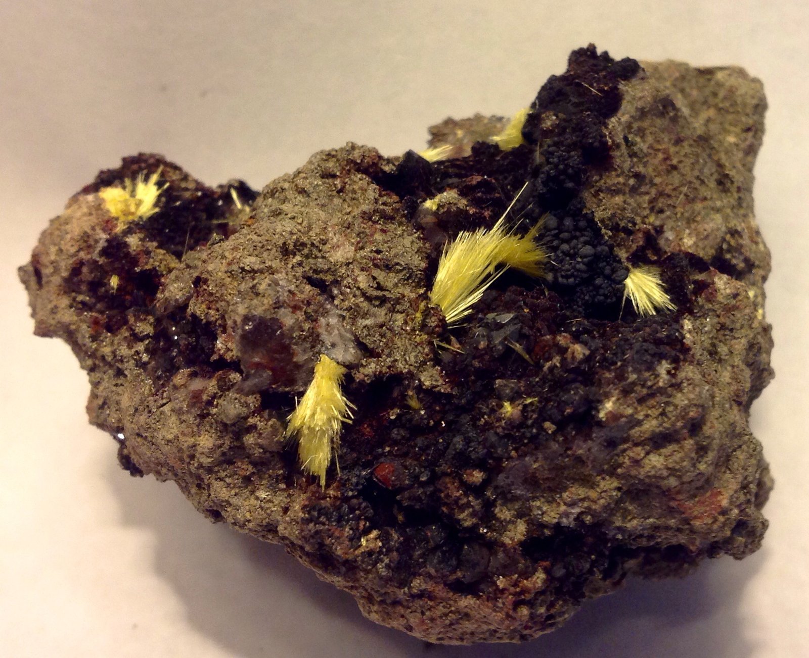 Uranophane, Goethite
5.7 cm
(Autor: JC)