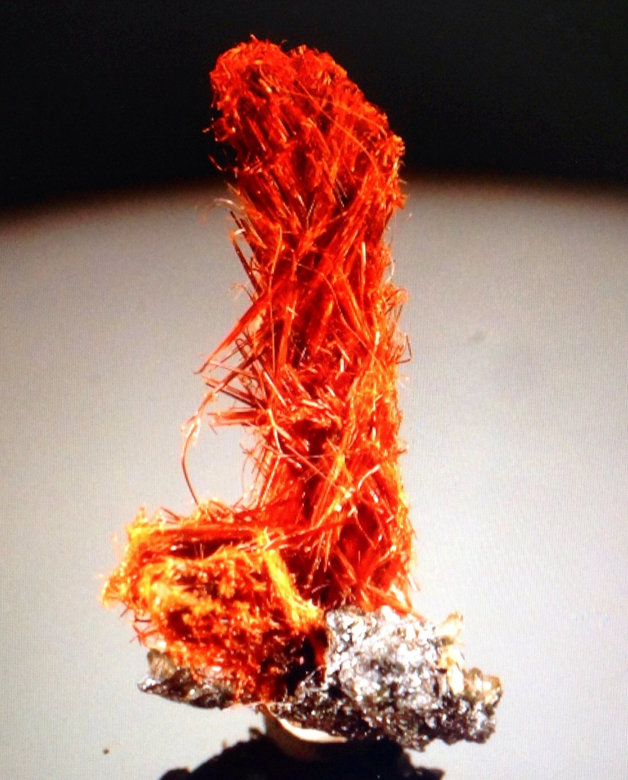 Ludlockite
1.4 cm
(Autor: JC)