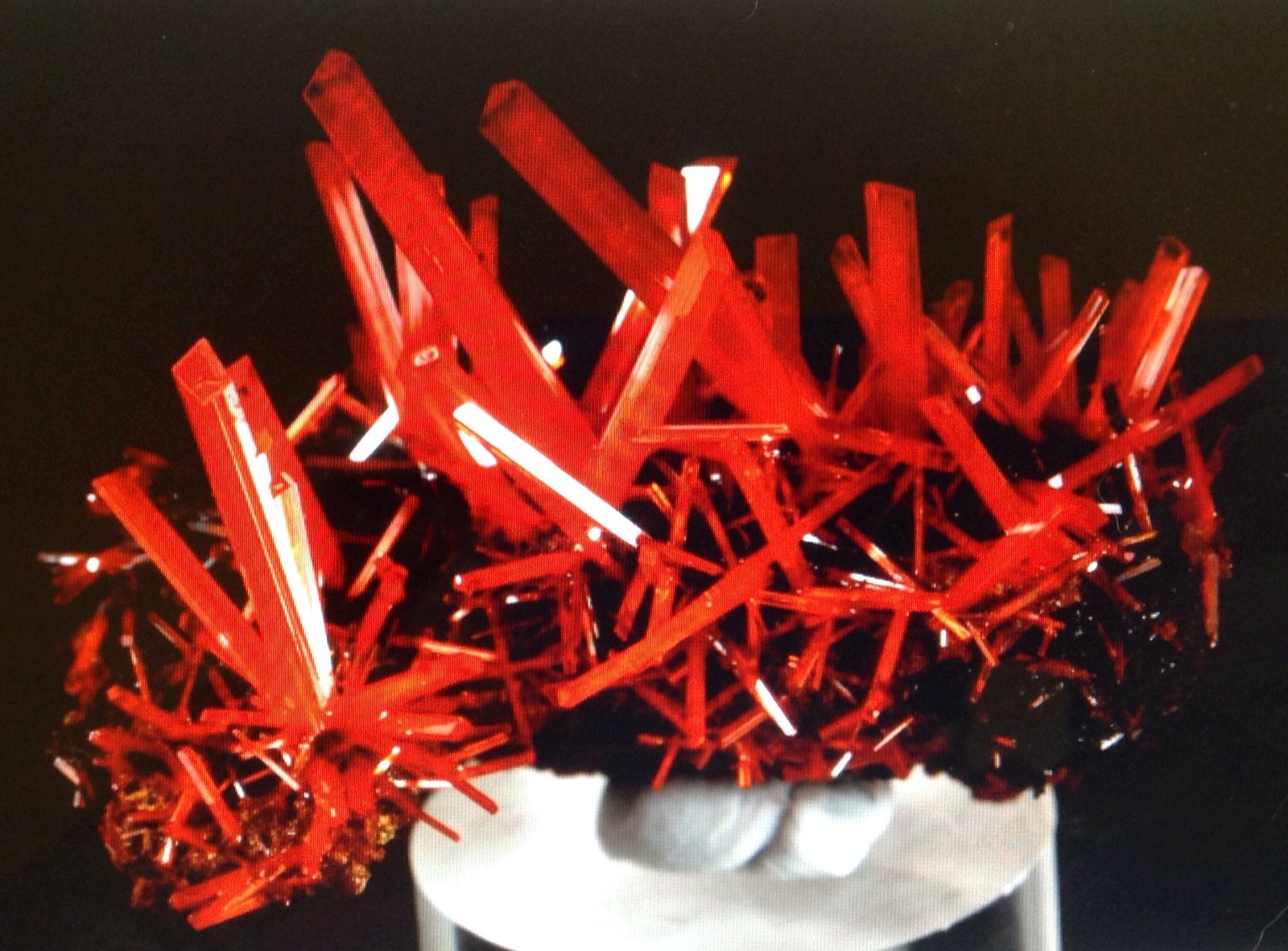 Crocoite
3.5 cm
(Autor: JC)