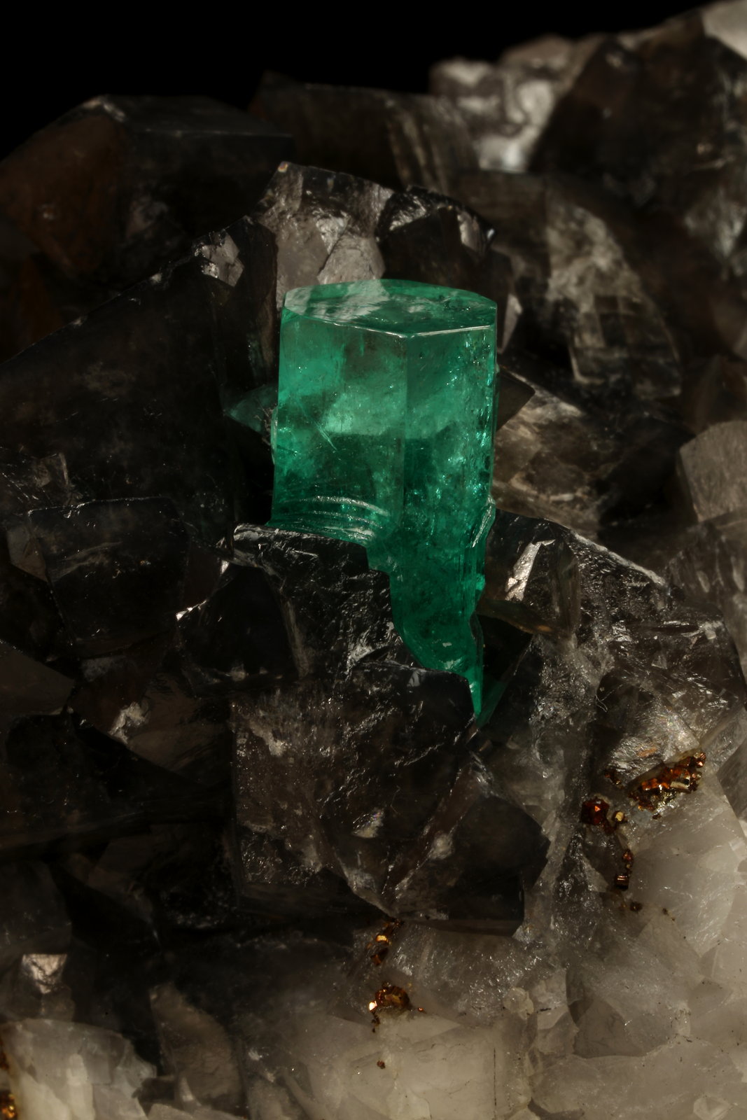 Beryl (variety emerald), Calcite, Pyrite
50x50x45mm, xl=11x7mm
(Autor: Fiebre Verde)