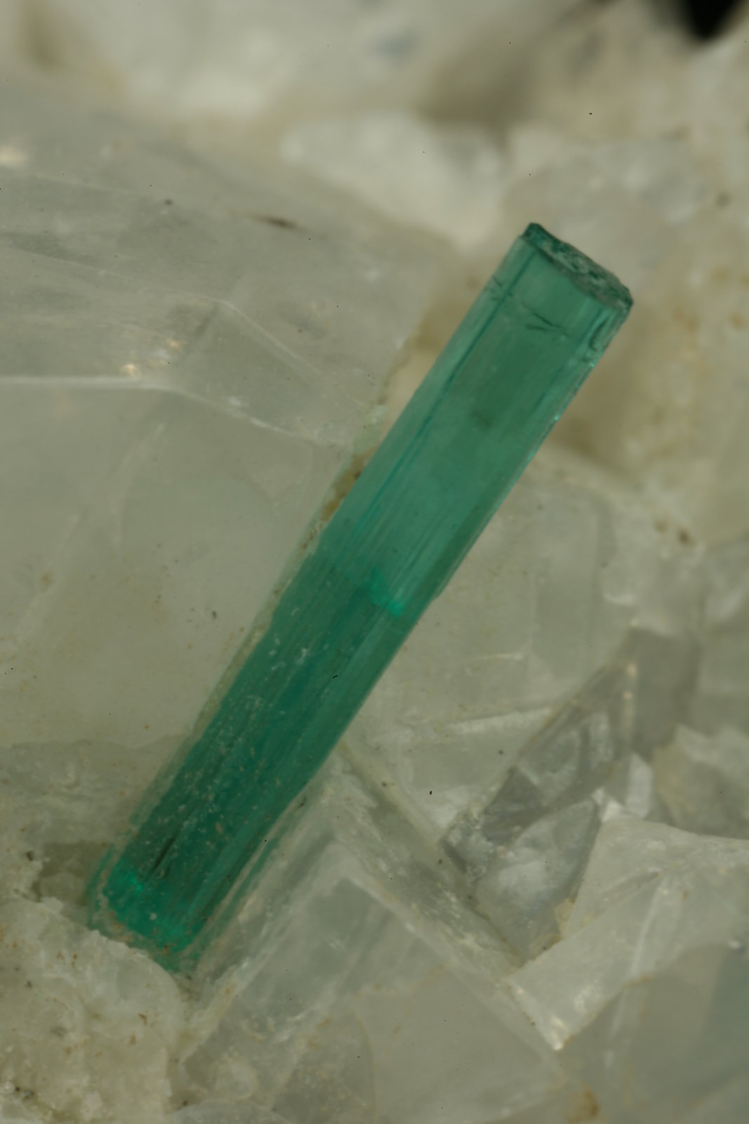 Beryl (variety emerald), Calcite, Pyrite
xl=10mm
(Autor: Fiebre Verde)