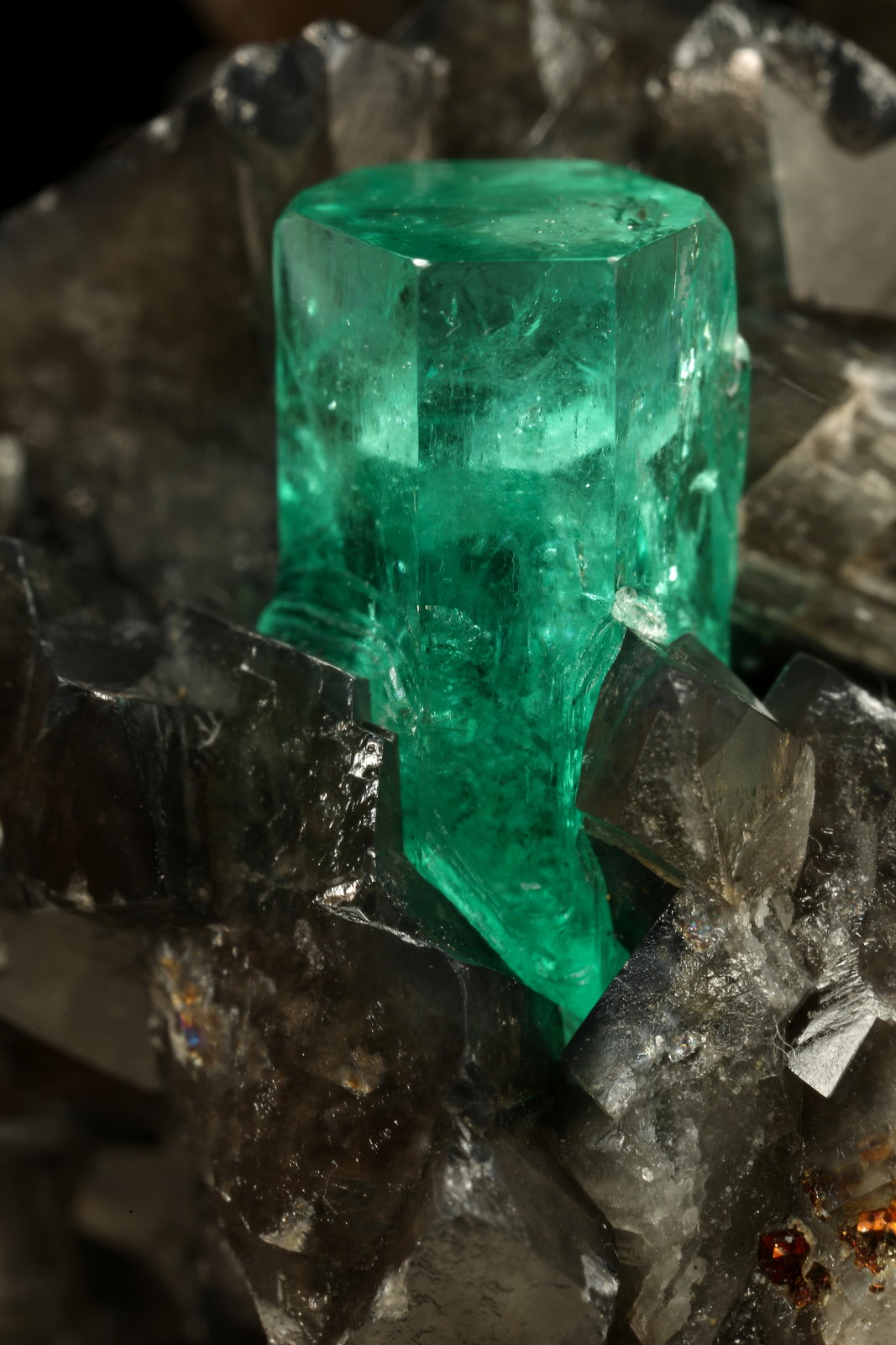Beryl (variety emerald), Calcite, Pyrite
50x50x45mm, xl=11x7mm
(Autor: Fiebre Verde)