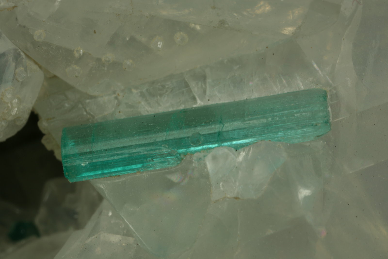 Beryl (variety emerald), Calcite, Pyrite
xl=7mm
(Autor: Fiebre Verde)