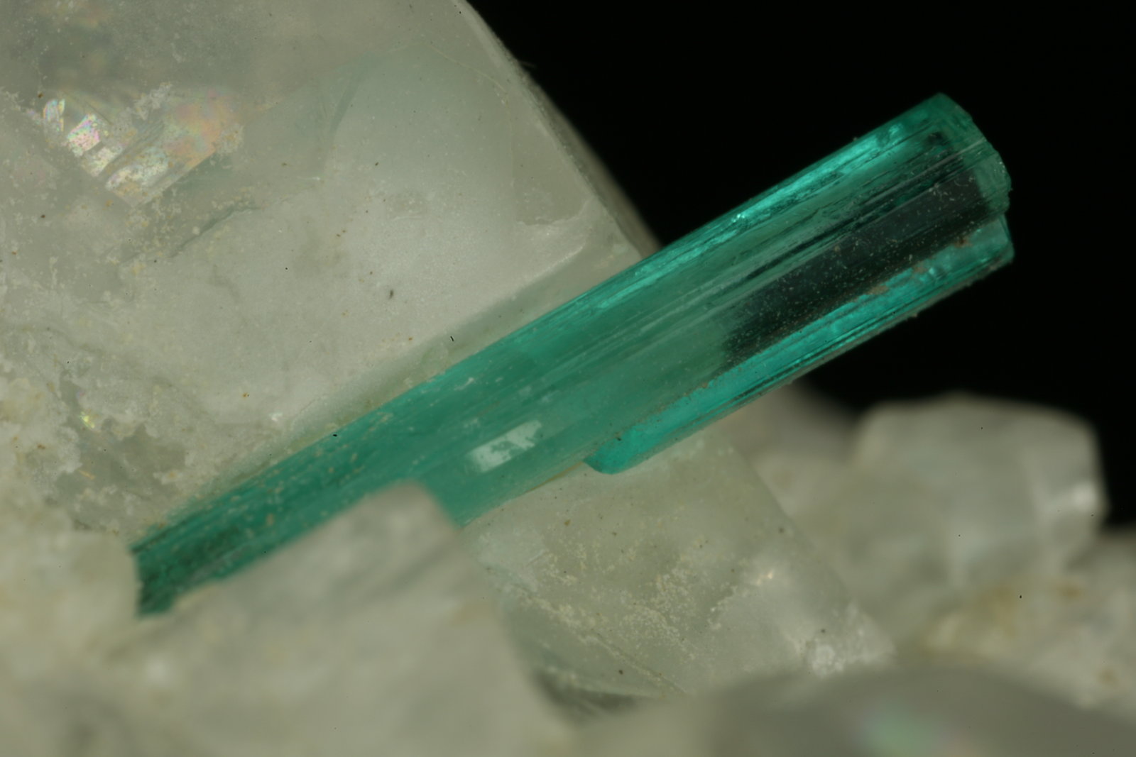 Beryl (variety emerald), Calcite, Pyrite
xl=10mm
(Autor: Fiebre Verde)