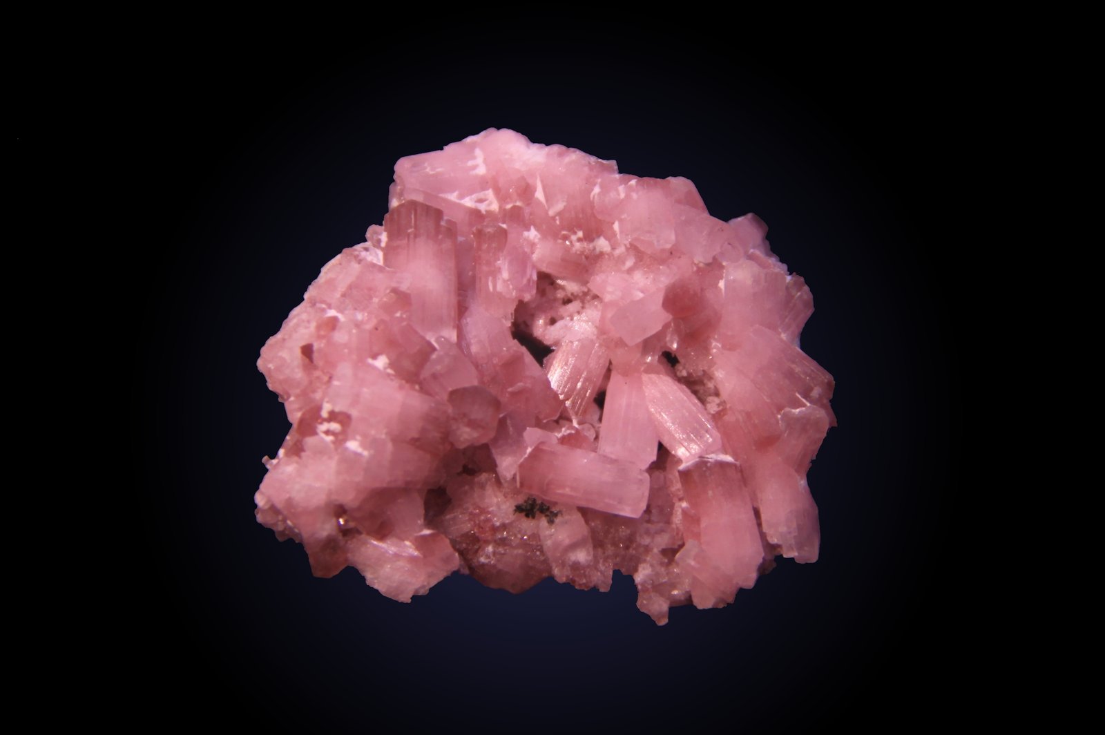 Elbaite
37mm x 32mm x 17mm
(Autor: Firmo Espinar)