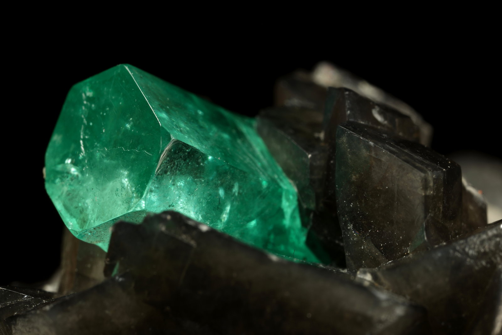 Beryl (variety emerald), Calcite, Pyrite
50x50x45mm, xl=11x7mm
(Autor: Fiebre Verde)