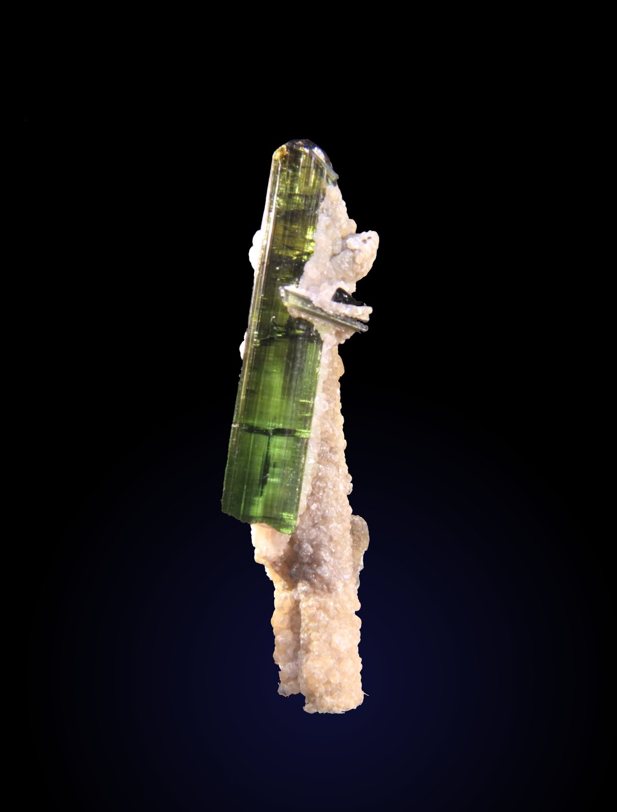 Elbaite and Muscovite
16mm x 48mm x 12mm
(Autor: Firmo Espinar)