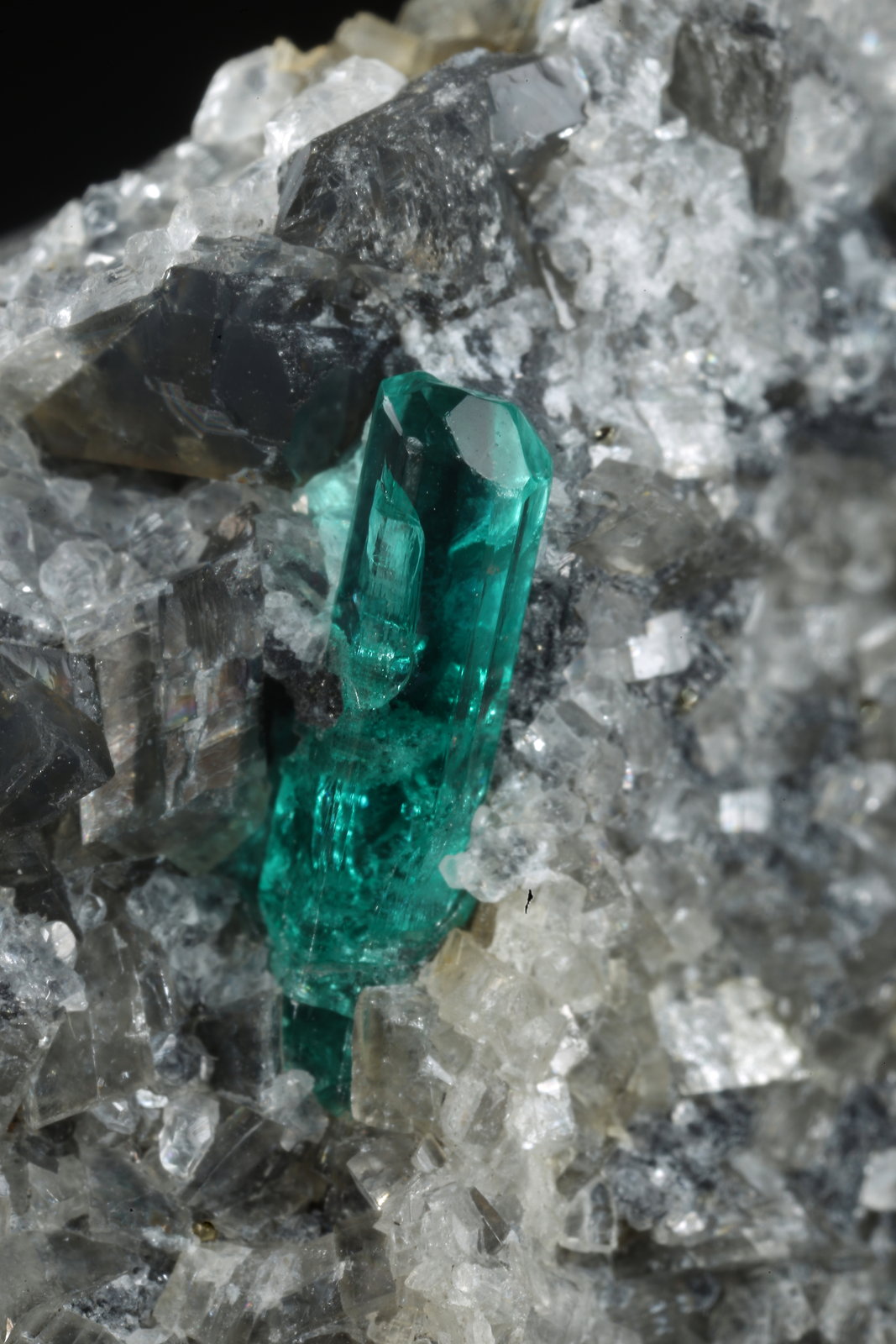 Beryl (variety emerald), Pyrite, Calcite, Dolomite
41x30x20mm, xl=9mm
(Autor: Fiebre Verde)