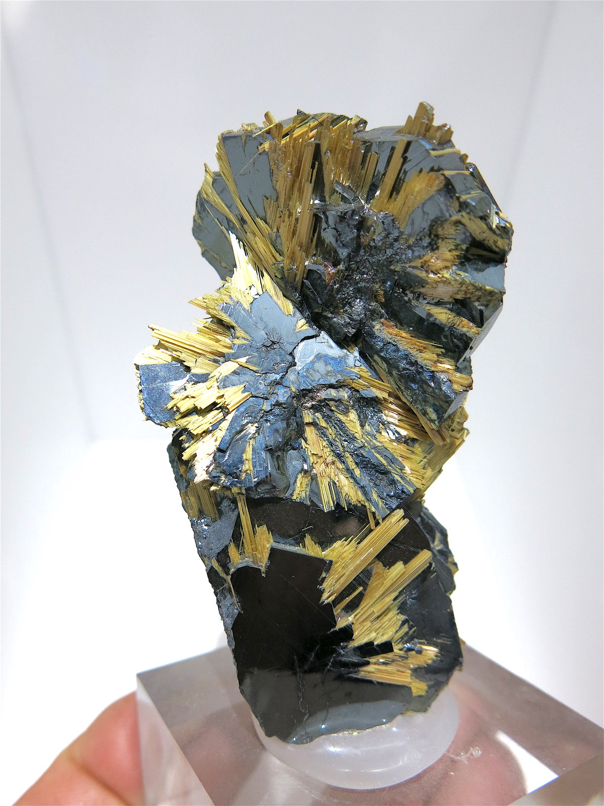 Rutile on Hematite
8 x 5 cm
(Autor: Jean Suffert)
