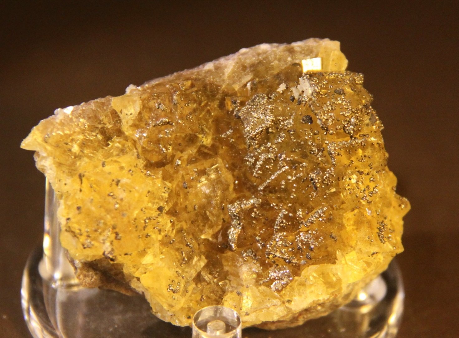 Fluorite with Pyrite
54mm x 44mm x 18mm
(Autor: Firmo Espinar)