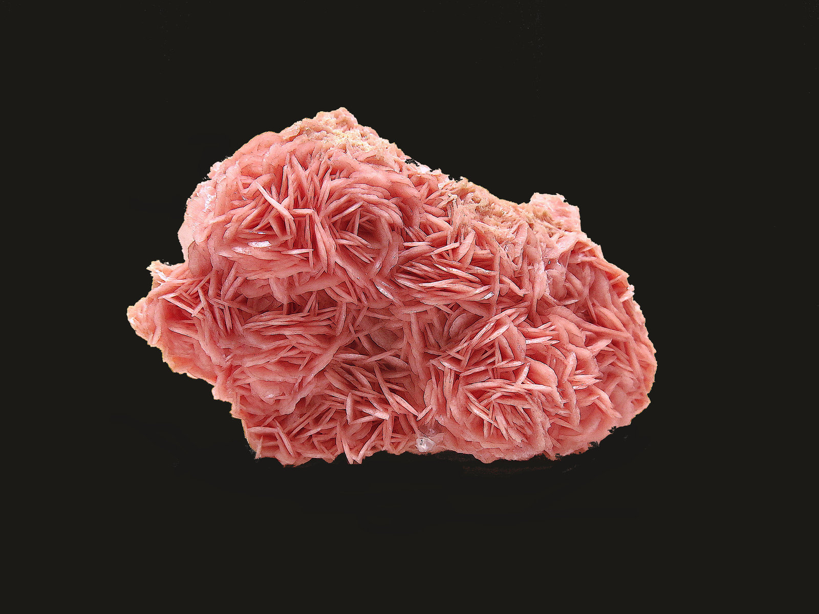 Rhodochrosite
10 X 6 cm
(Autor: Jean Suffert)