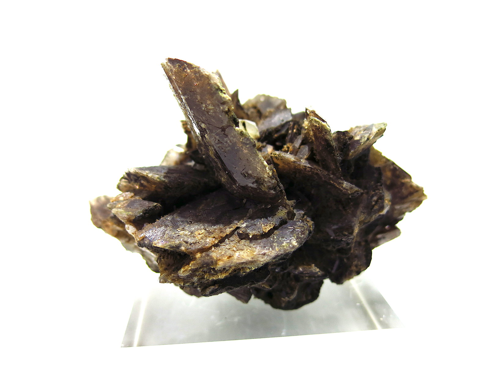 Axinite-(Fe), Quartz
8 x 8 cm
(Autor: Jean Suffert)
