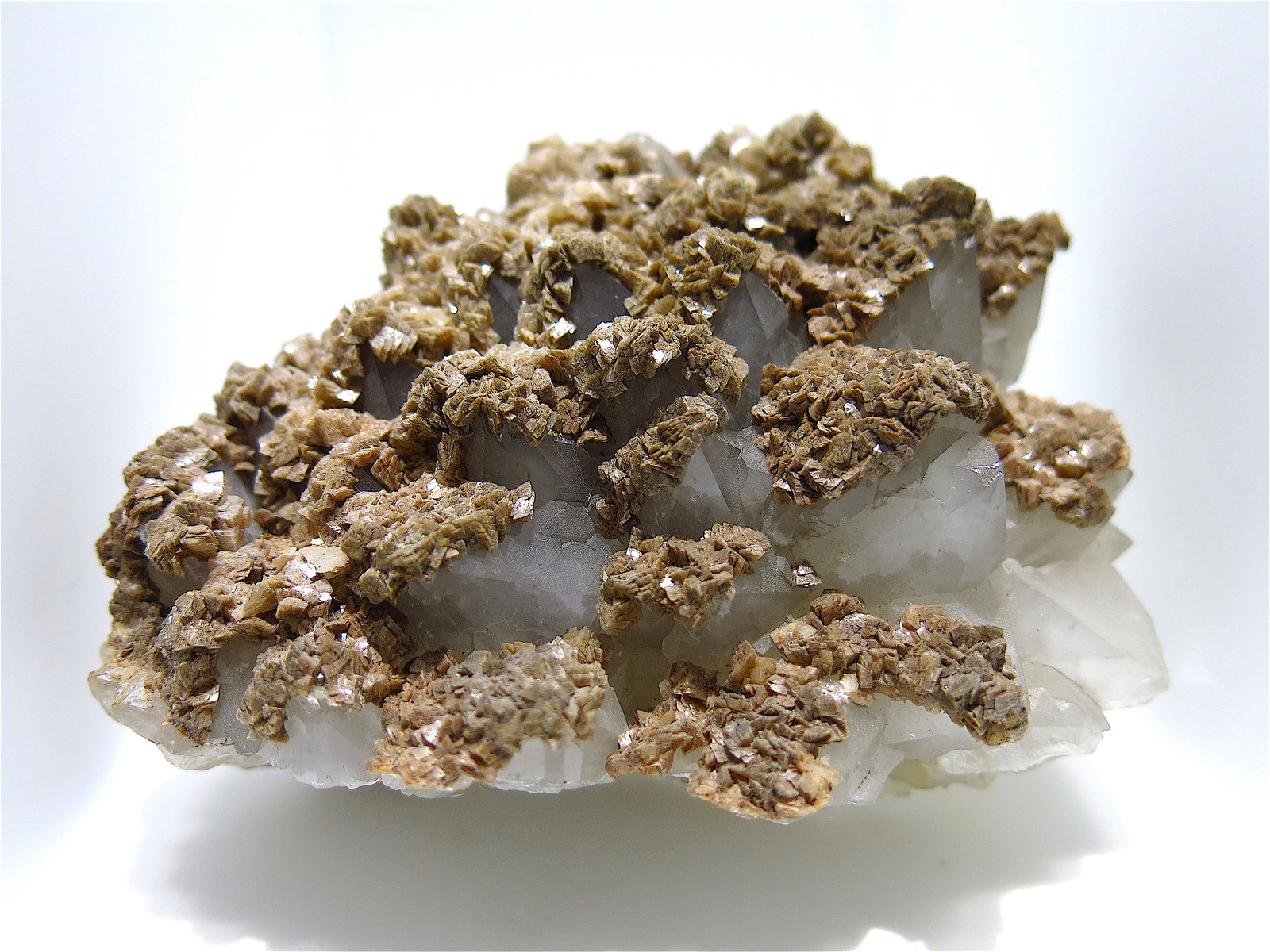 Ankerite on Quartz
15 x 10 cm
(Autor: Jean Suffert)