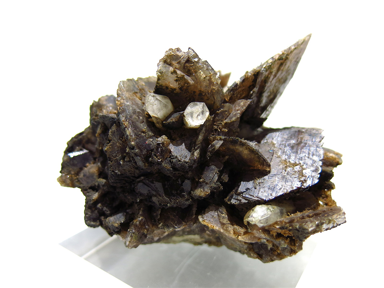 Axinite-(Fe), Quartz
8 x 8 cm
(Autor: Jean Suffert)