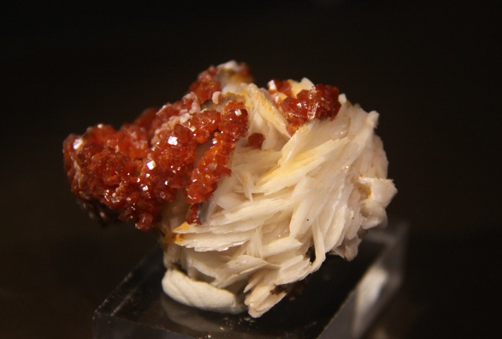 Vanadinite on Barite
46mm x 34mm x 40mm
(Autor: Firmo Espinar)