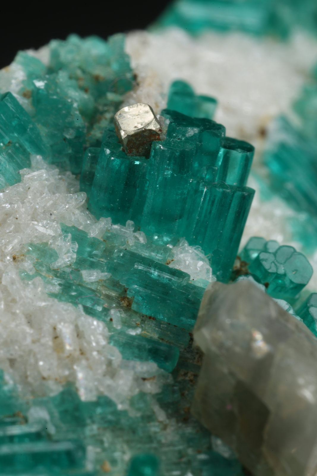 Beryl (variety emerald), Pyrite, Calcite, Albite (variety cleavelandite)
70x62x11mm, xls up to 8mm long
(Autor: Fiebre Verde)