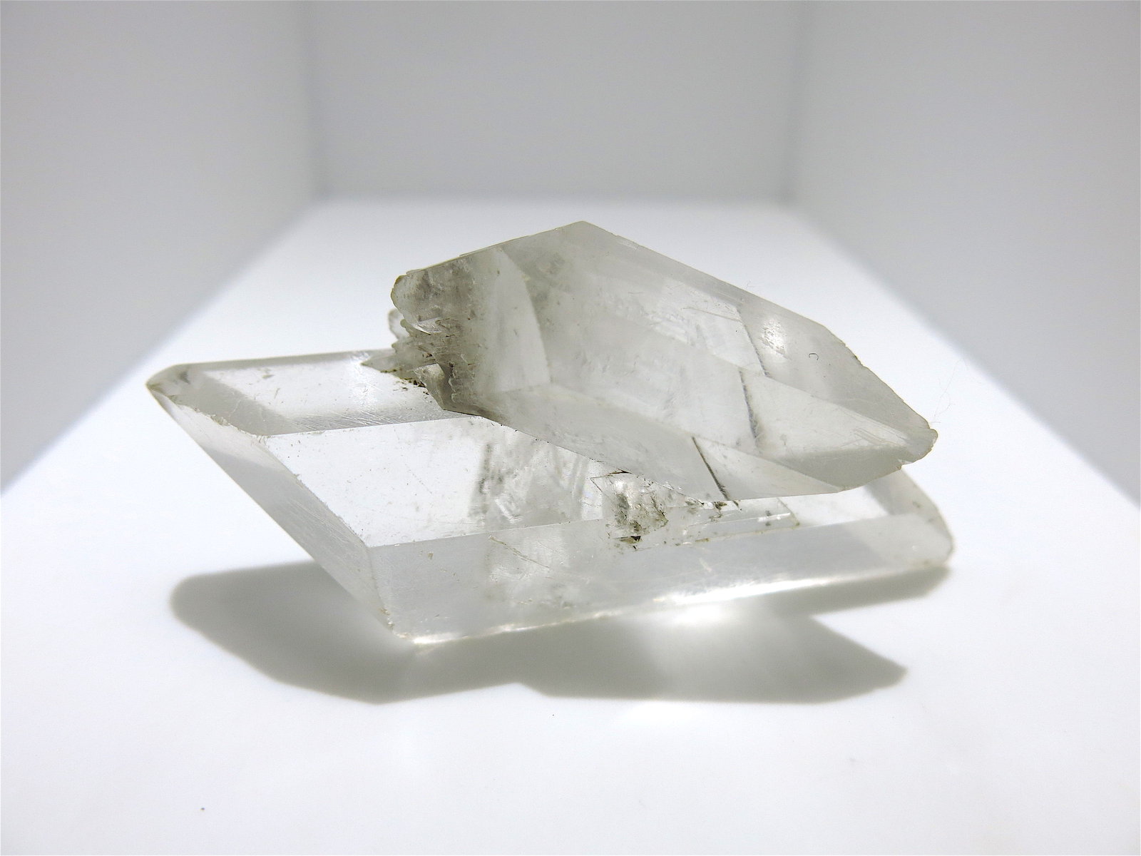 Gypsum
7.5 x 3 cm
(Autor: Jean Suffert)