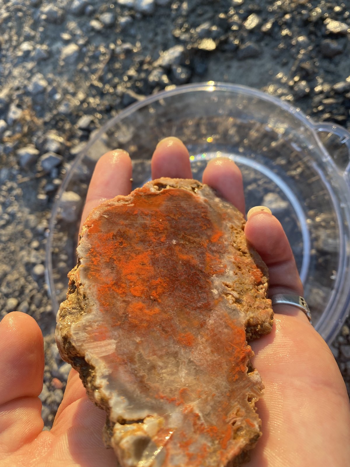 Quartz (variety alabama agate)
(Autor: LittleRockShop)