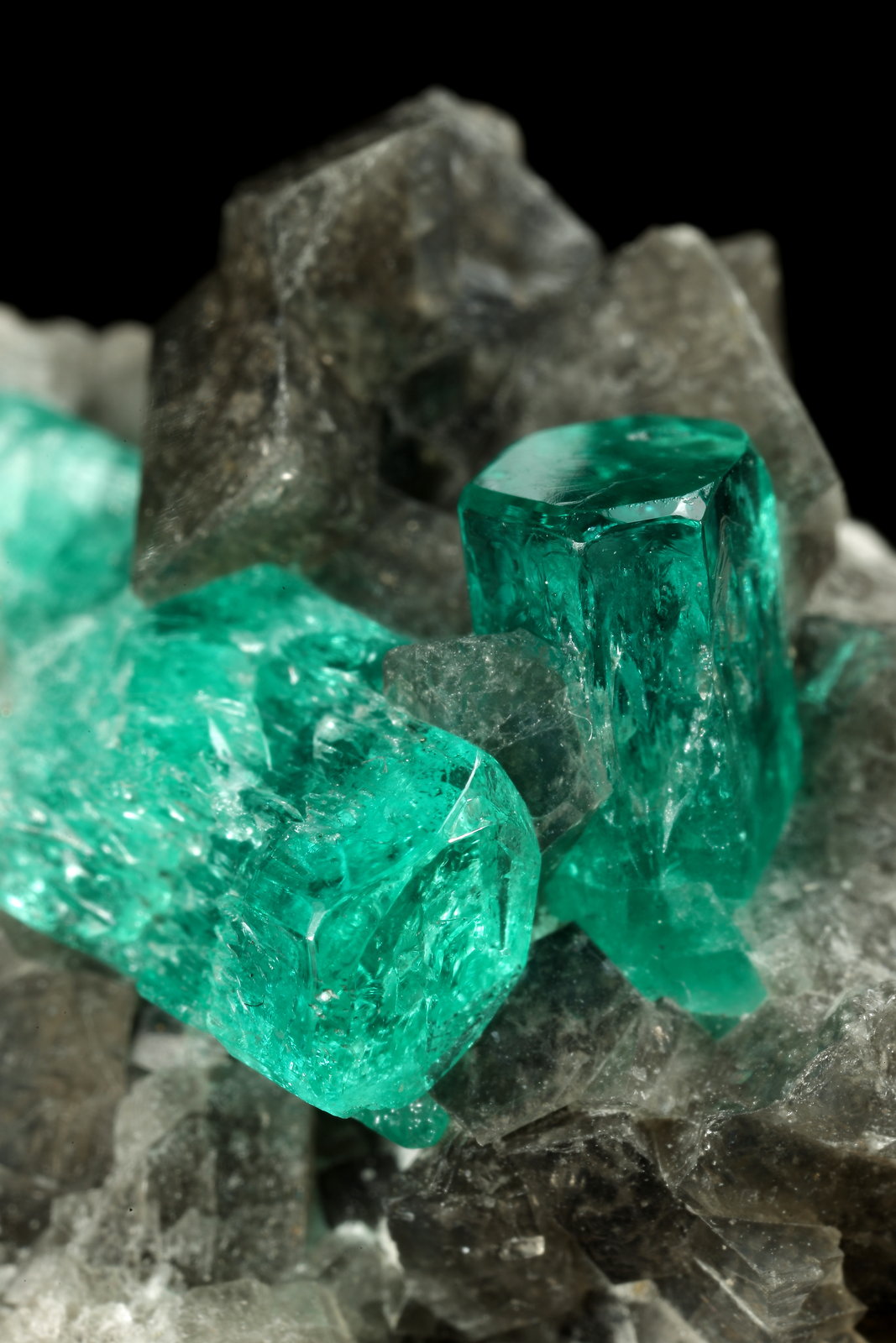 Beryl (variety emerald), Calcite, Pyrite
38x24x29mm, largest xl=17mm
(Autor: Fiebre Verde)