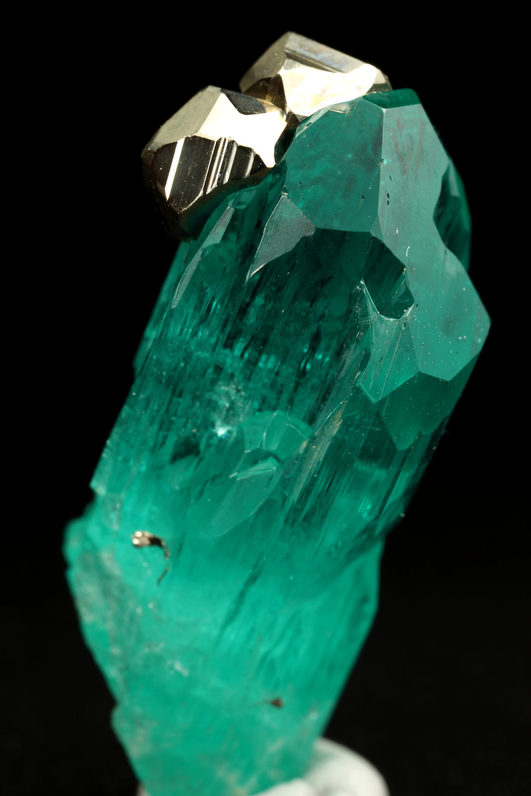 Beryl (variety emerald), Pyrite
xl=27x20mm
(Autor: Fiebre Verde)