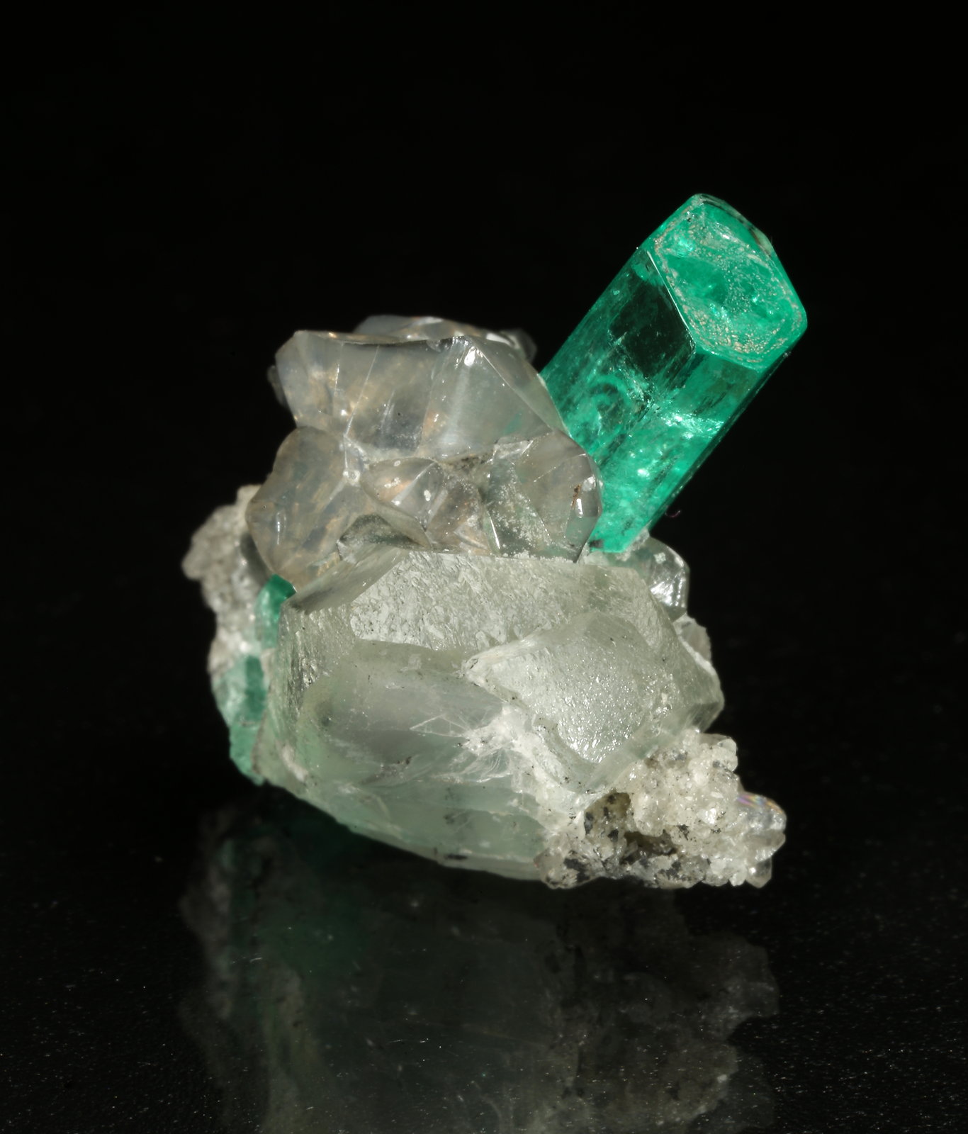Beryl (variety emerald), Calcite, Dolomite
xl=18x6mm
(Autor: Fiebre Verde)