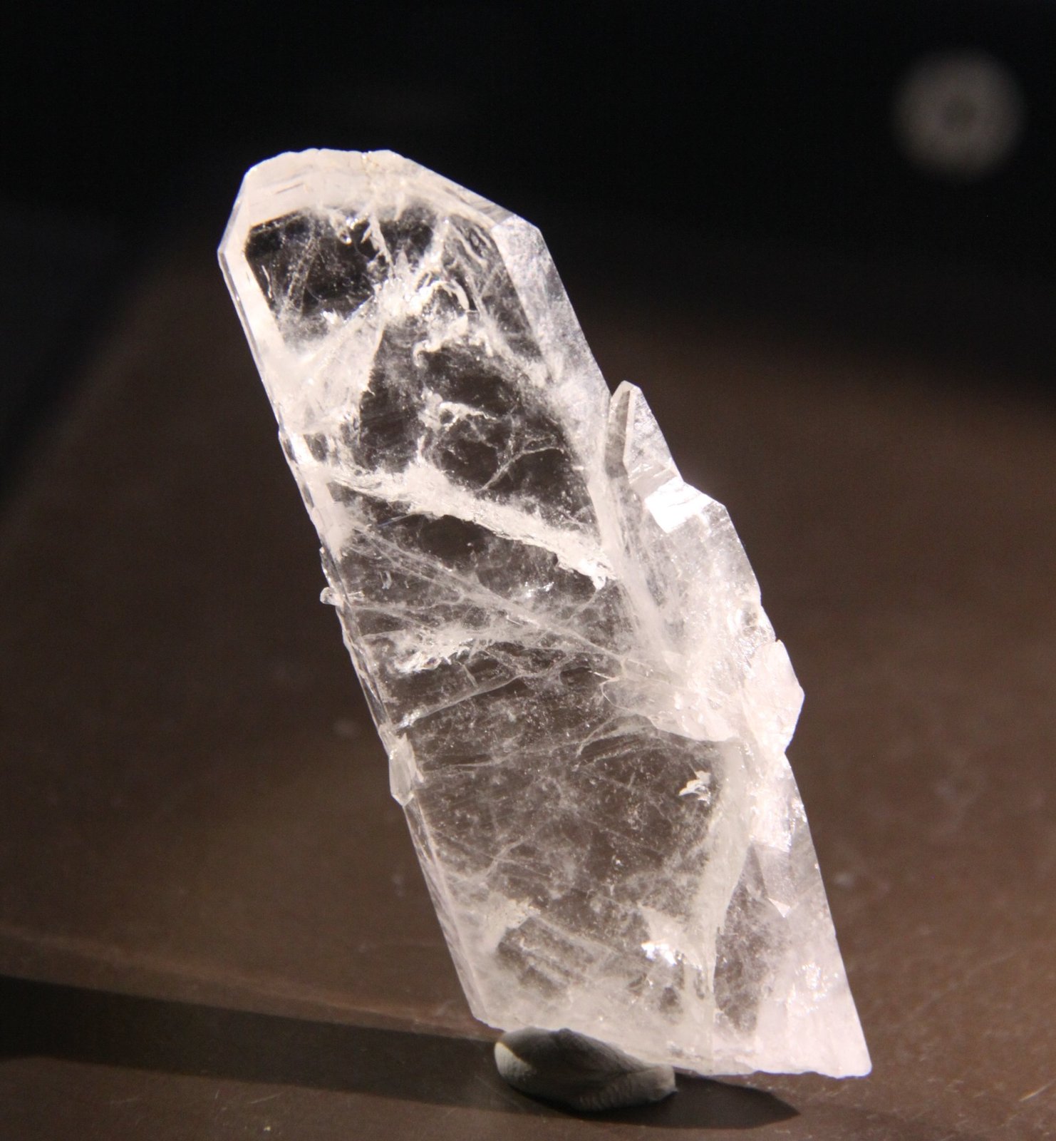 Quartz
30mm x 80mm x 7mm
(Autor: Firmo Espinar)