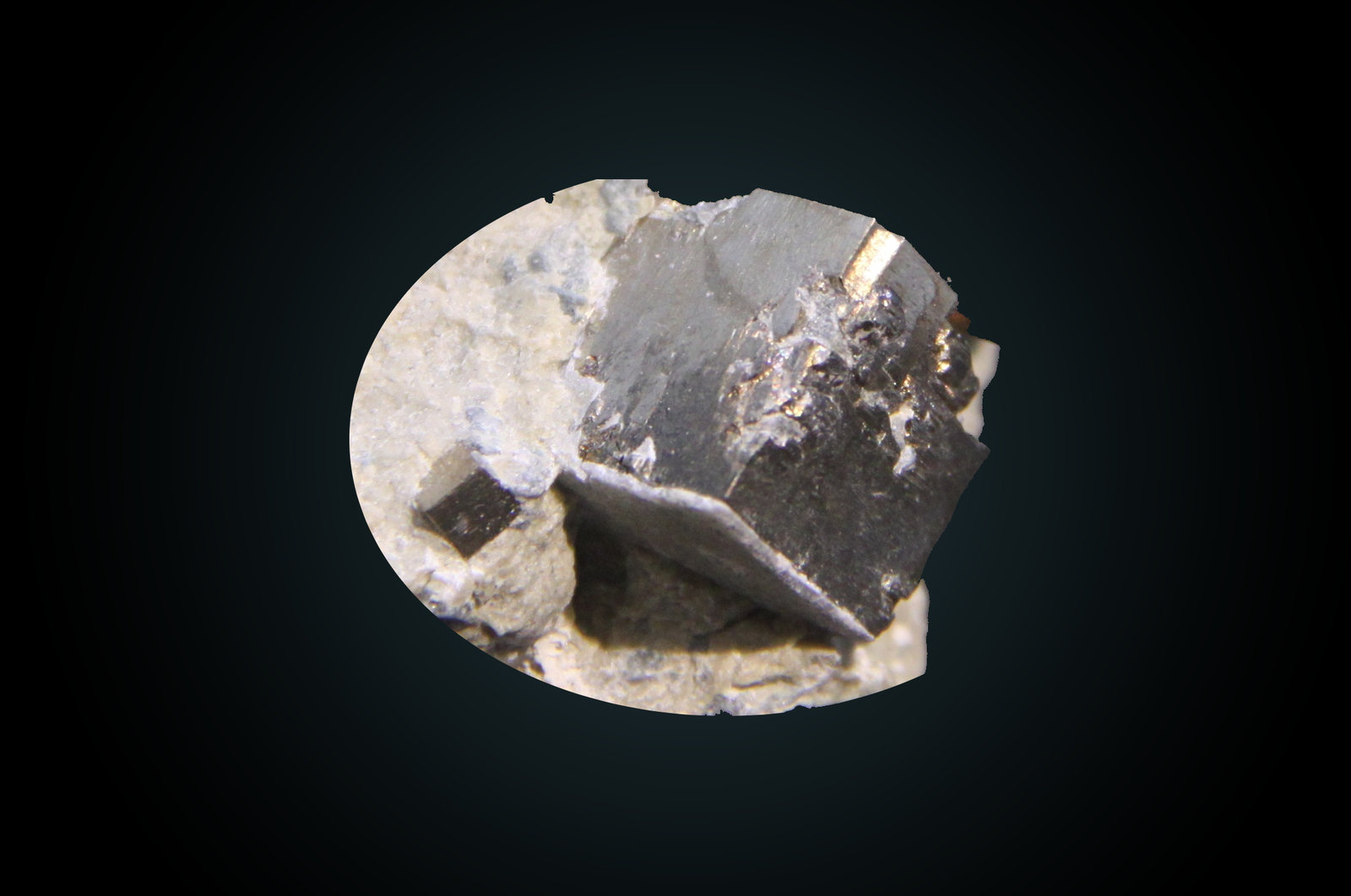 Cookeite and Pyrite
13mm on edge pyrite
(Autor: Firmo Espinar)