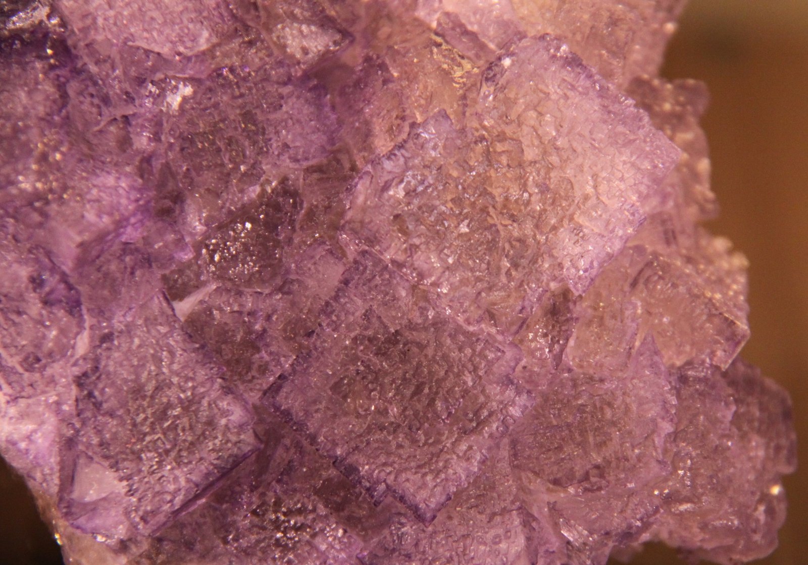 Fluorite
95mm x 74mm x 43mm
(Autor: Firmo Espinar)