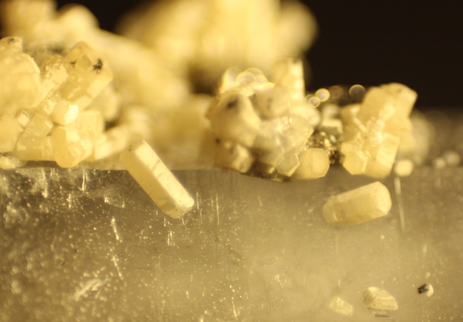 Apatite and Pyrite on Quartz
FOV 9 mm
(Autor: Firmo Espinar)