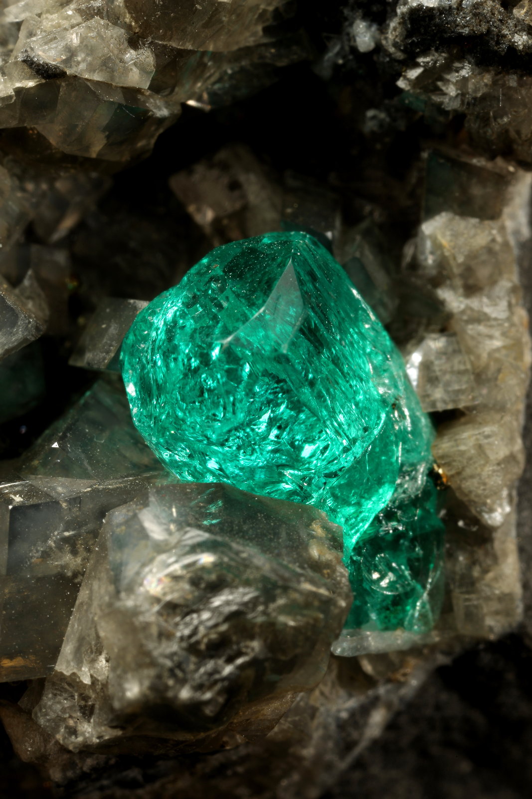 Beryl (variety emerald), Calcite, Dolomite, Pyrite
44x34x39mm, xl=7mm
(Autor: Fiebre Verde)
