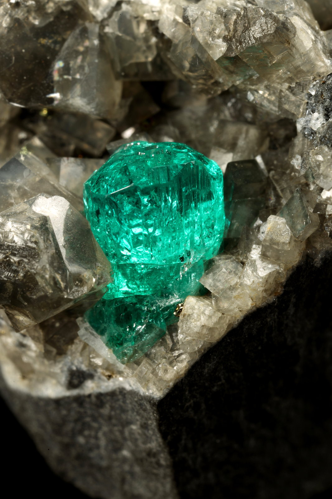 Beryl (variety emerald), Calcite, Dolomite, Pyrite
44x34x39mm, xl=7mm
(Autor: Fiebre Verde)
