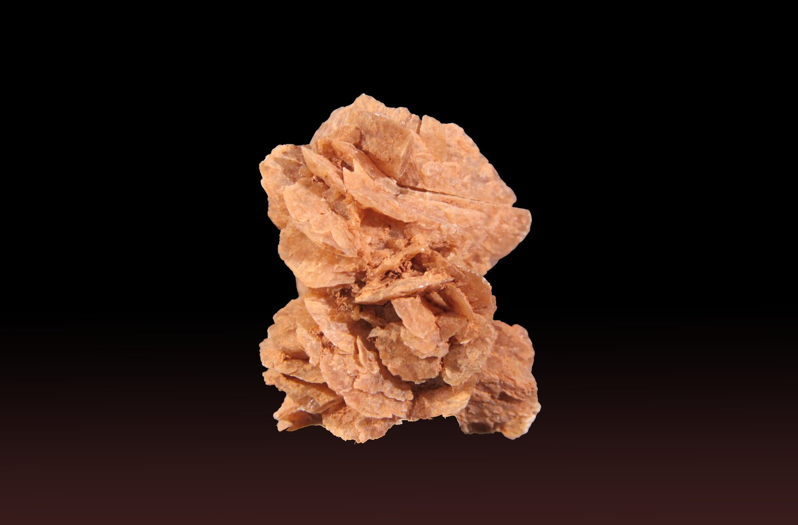 Gypsum
34mm x 53mm x 30mm
(Autor: Firmo Espinar)