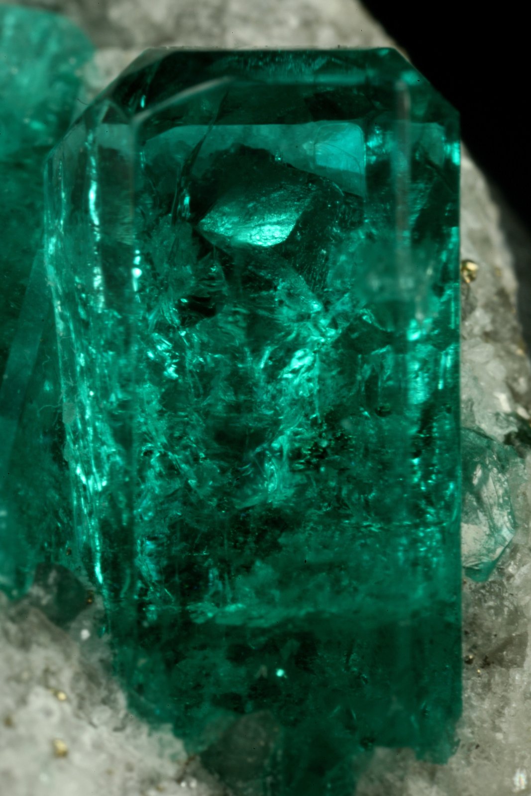 Beryl (variety emerald), Calcite, Pyrite
xl=13mm
(Autor: Fiebre Verde)