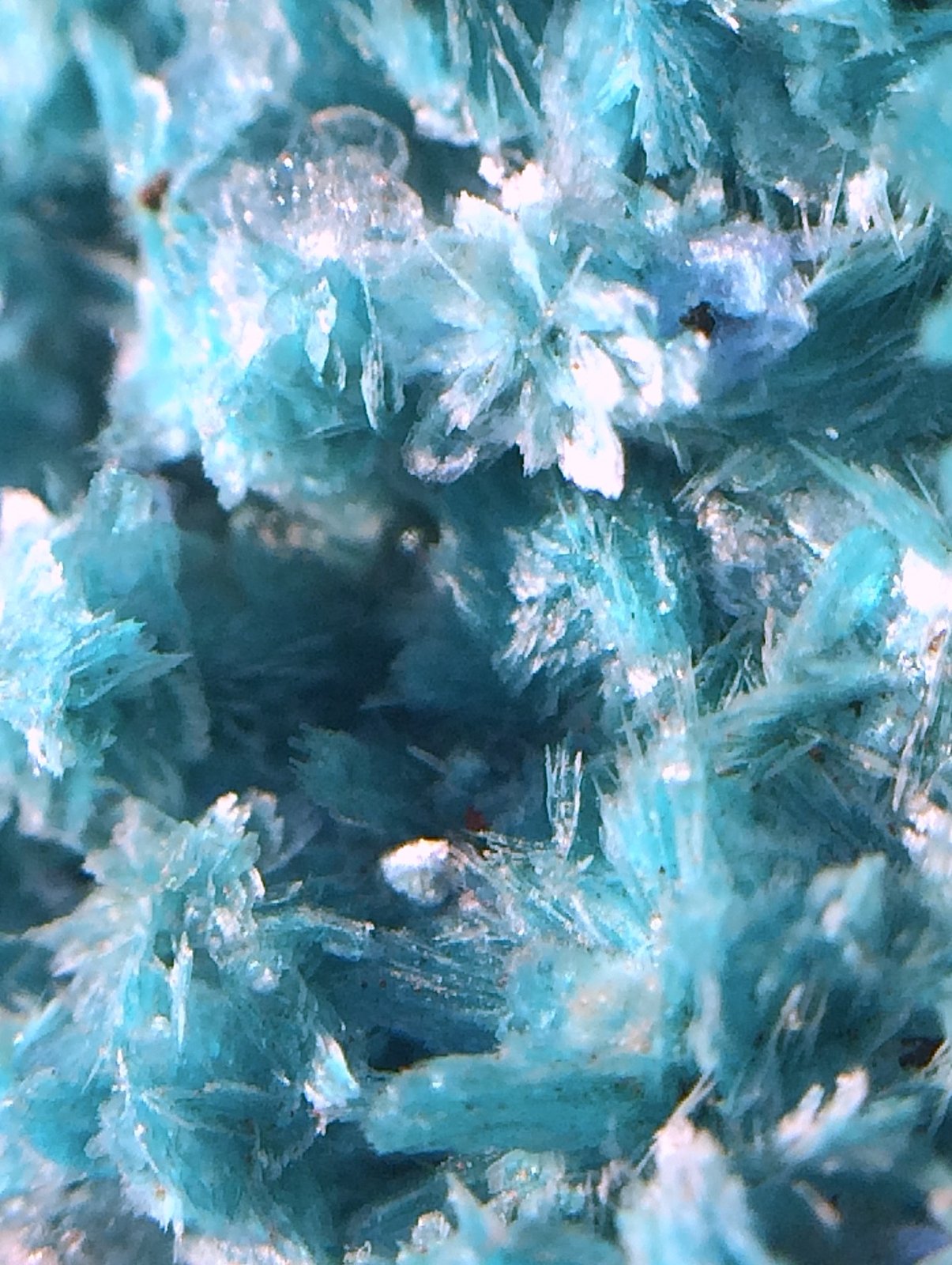 Aurichalcite
(Autor: steven calamuci)
