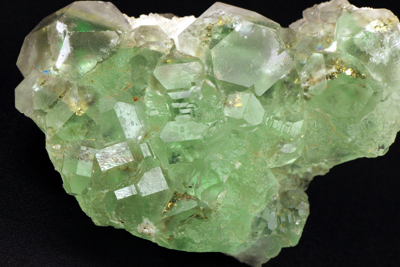 Fluorite and pyrite
9 x 6.5 x 4.3 centimeters
(Autor: Ricardo Melendez)