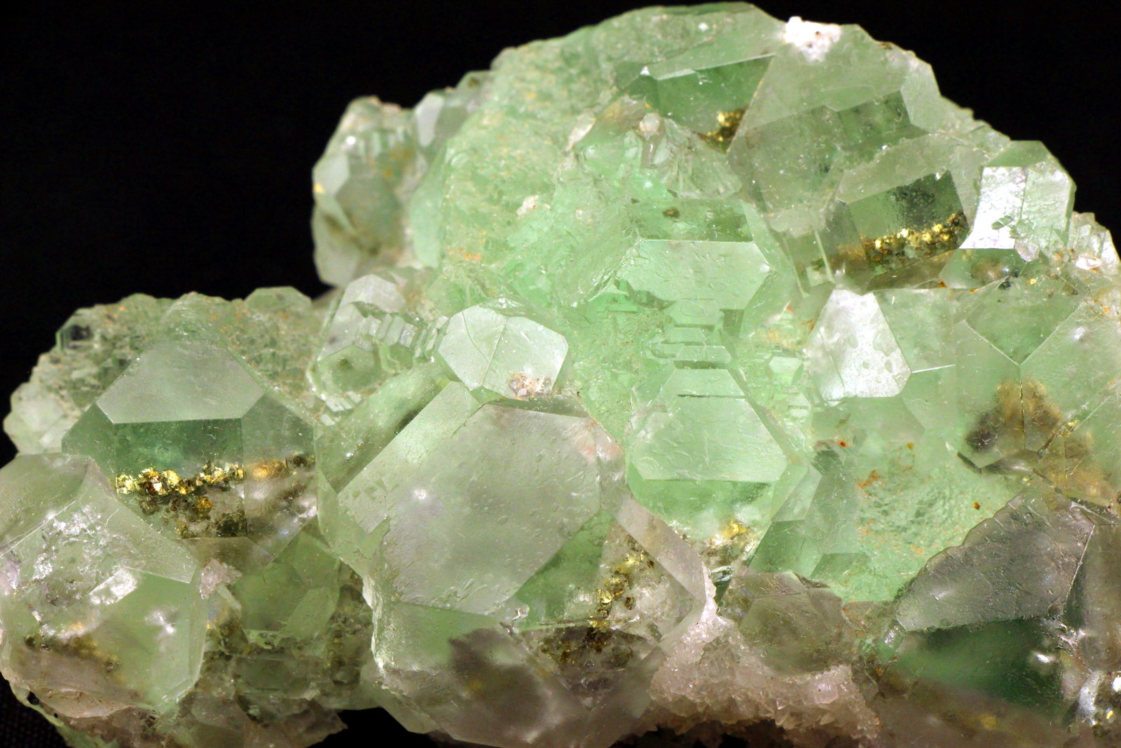 Fluorite and pyrite
9 x 6.5 x 4.3 centimeters
(Autor: Ricardo Melendez)