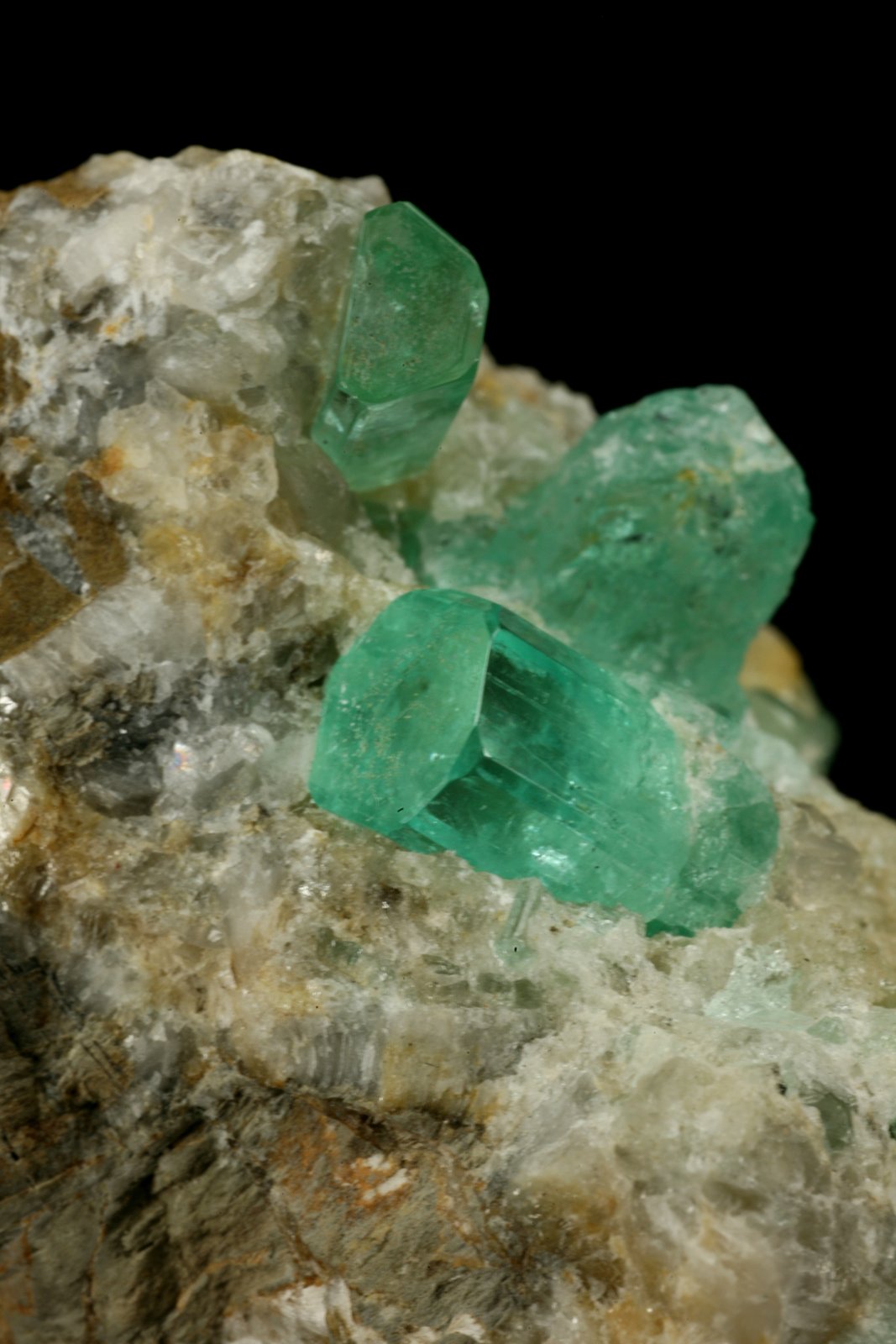 Beryl (variety emerald), Calcite
Crystals are about 1cm long
(Autor: Fiebre Verde)