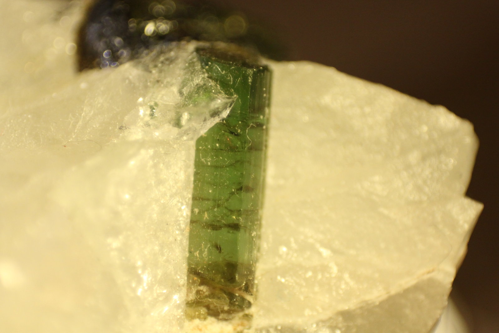 Elbaite
Crystal size = 4mm x 17mm
(Autor: Firmo Espinar)