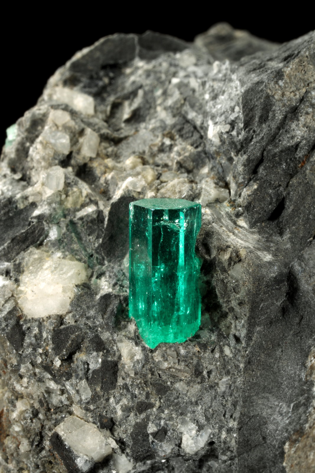 Beryl (variety emerald), Calcite, Pyrite
38x63x65mm, xl=10mm
(Autor: Fiebre Verde)
