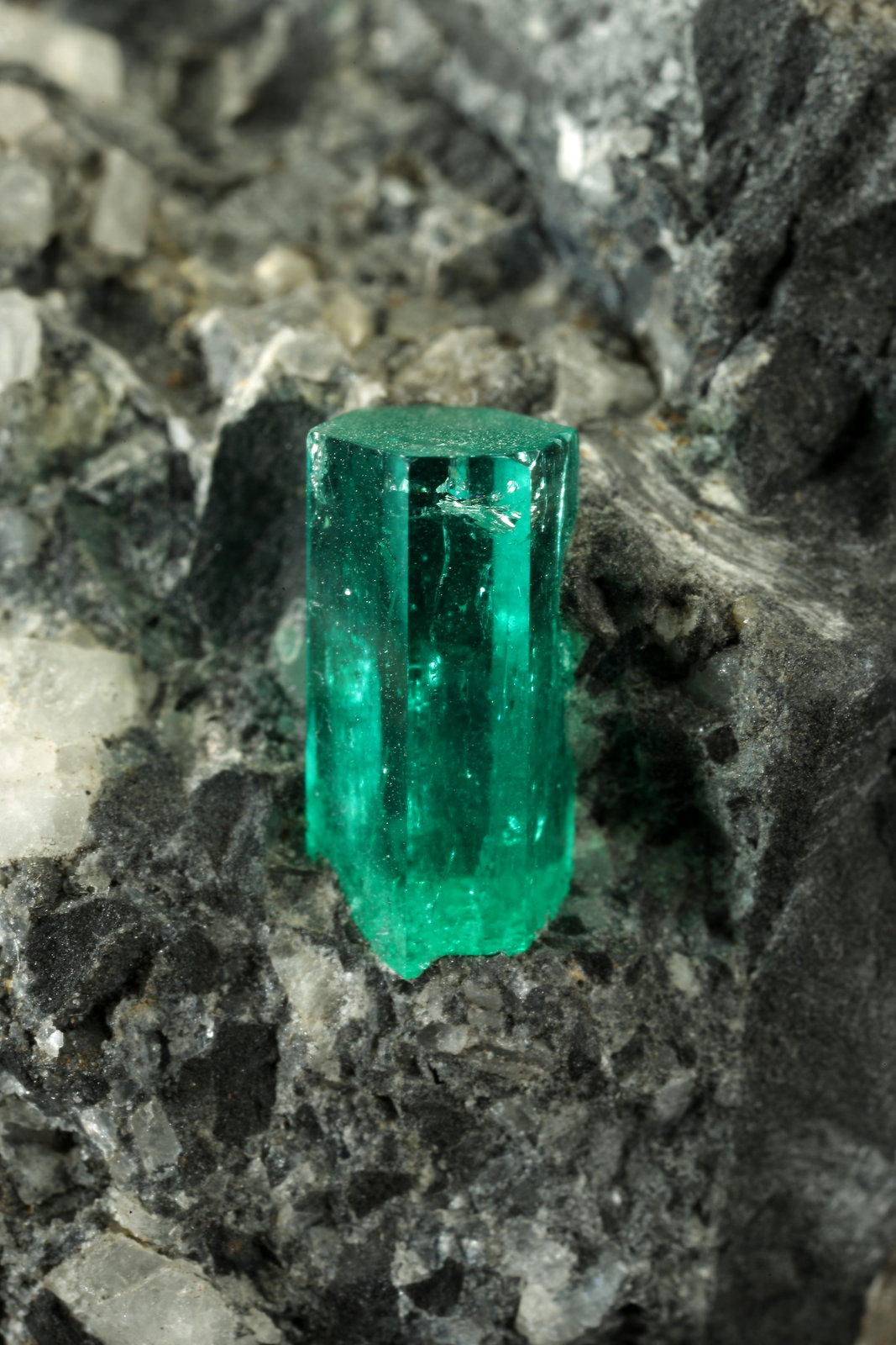Beryl (variety emerald), Calcite, Pyrite
38x63x65mm, xl=10mm
(Autor: Fiebre Verde)