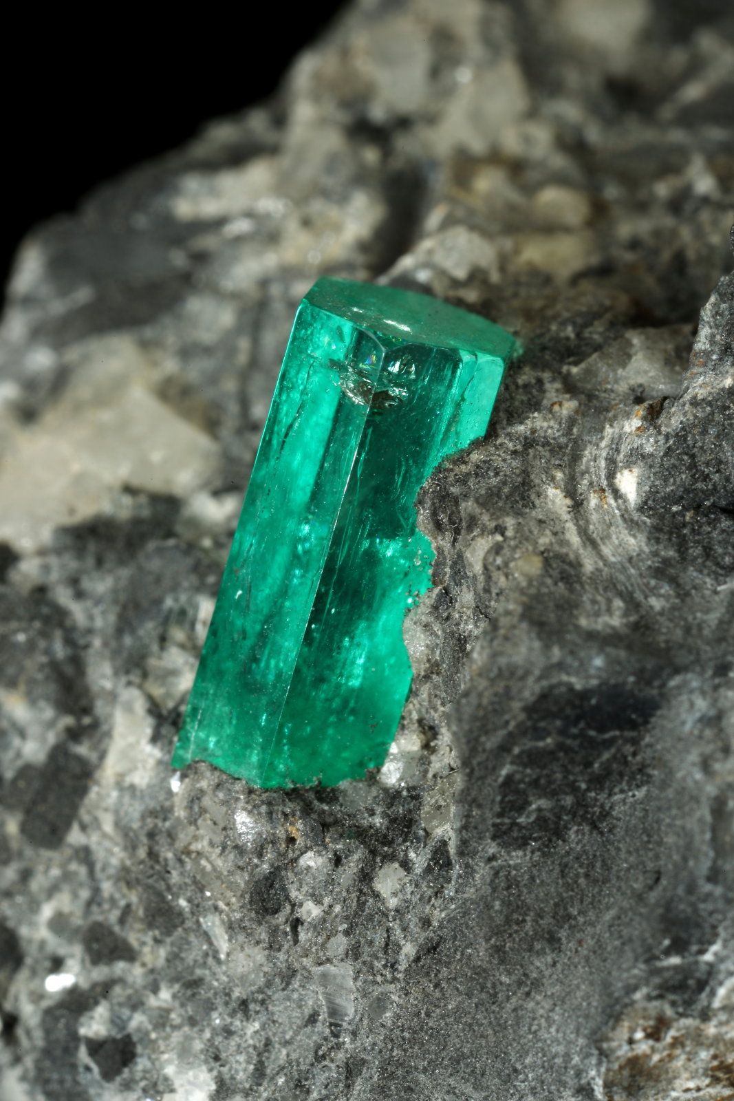 Beryl (variety emerald), Calcite, Pyrite
38x63x65mm, xl=10mm
(Autor: Fiebre Verde)
