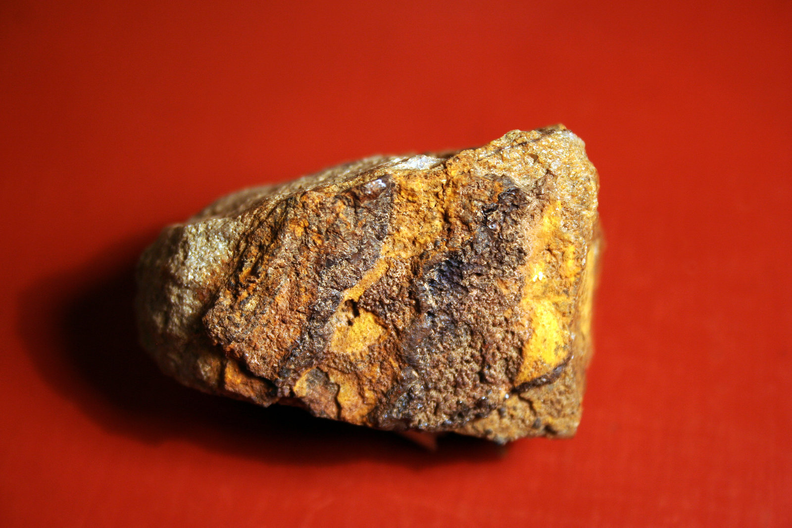 Limonite
5 x 3,5 cm
(Autor: Psax)