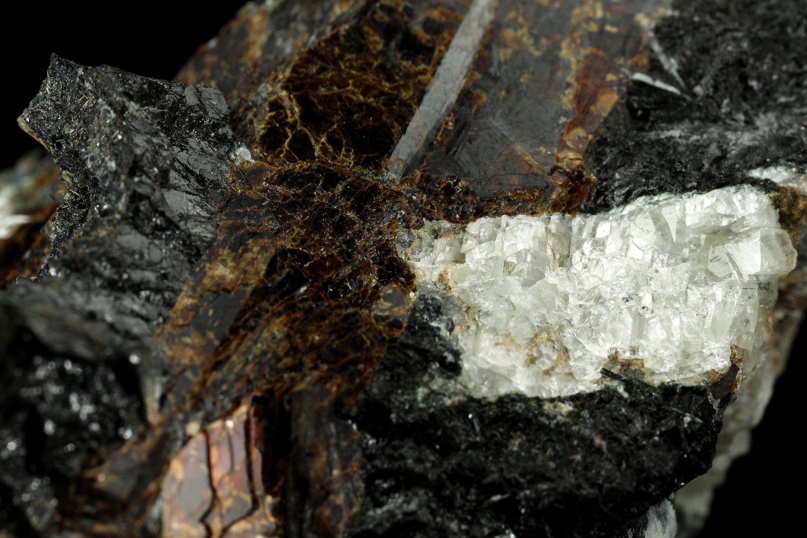 Rastsvetaevite, Fenaksite, Delhayelite, Lamprophyllite. Aegirine
72x47x47mm
(Autor: Fiebre Verde)