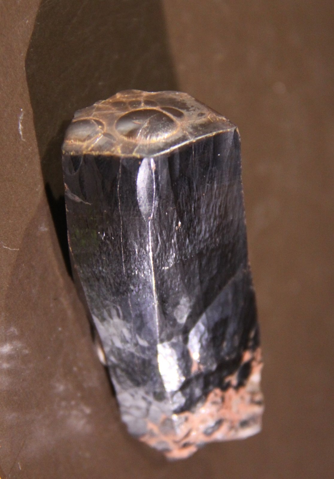 Hematite
32mm x 62mm x 20mm
(Autor: Firmo Espinar)