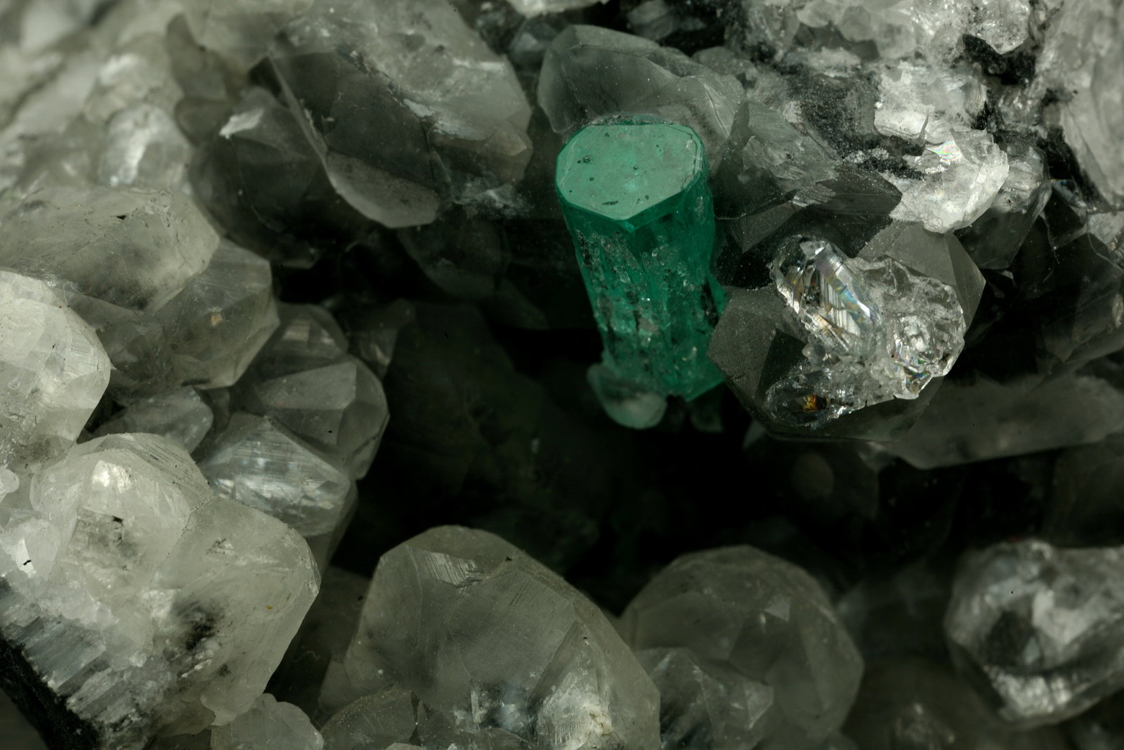 Beryl (variety emerald), Calcite, Quartz
Emerald crystal is 11mm long
(Autor: Fiebre Verde)