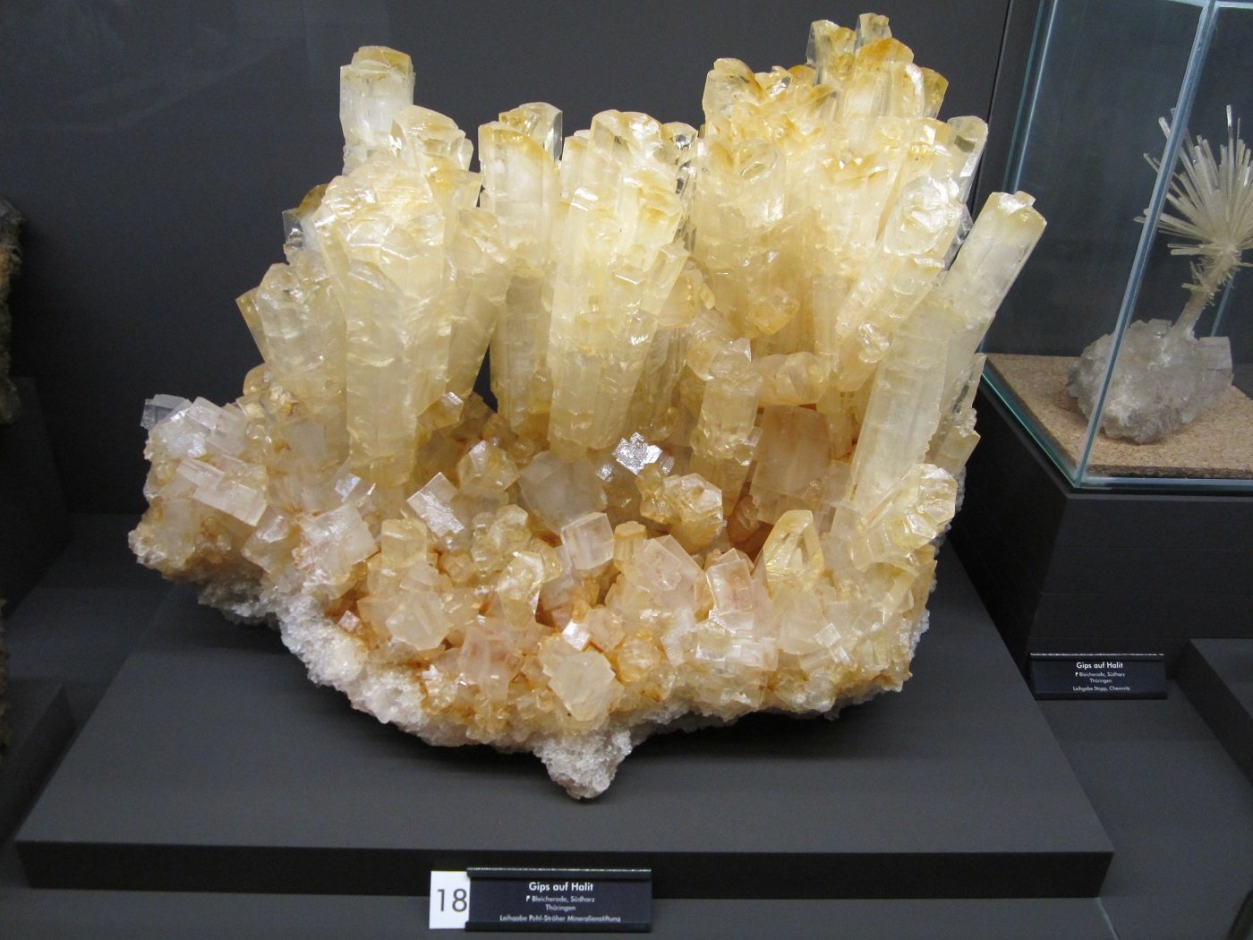 Gypsum on Halite
Specimen size 45 cm
(Autor: Tobi)