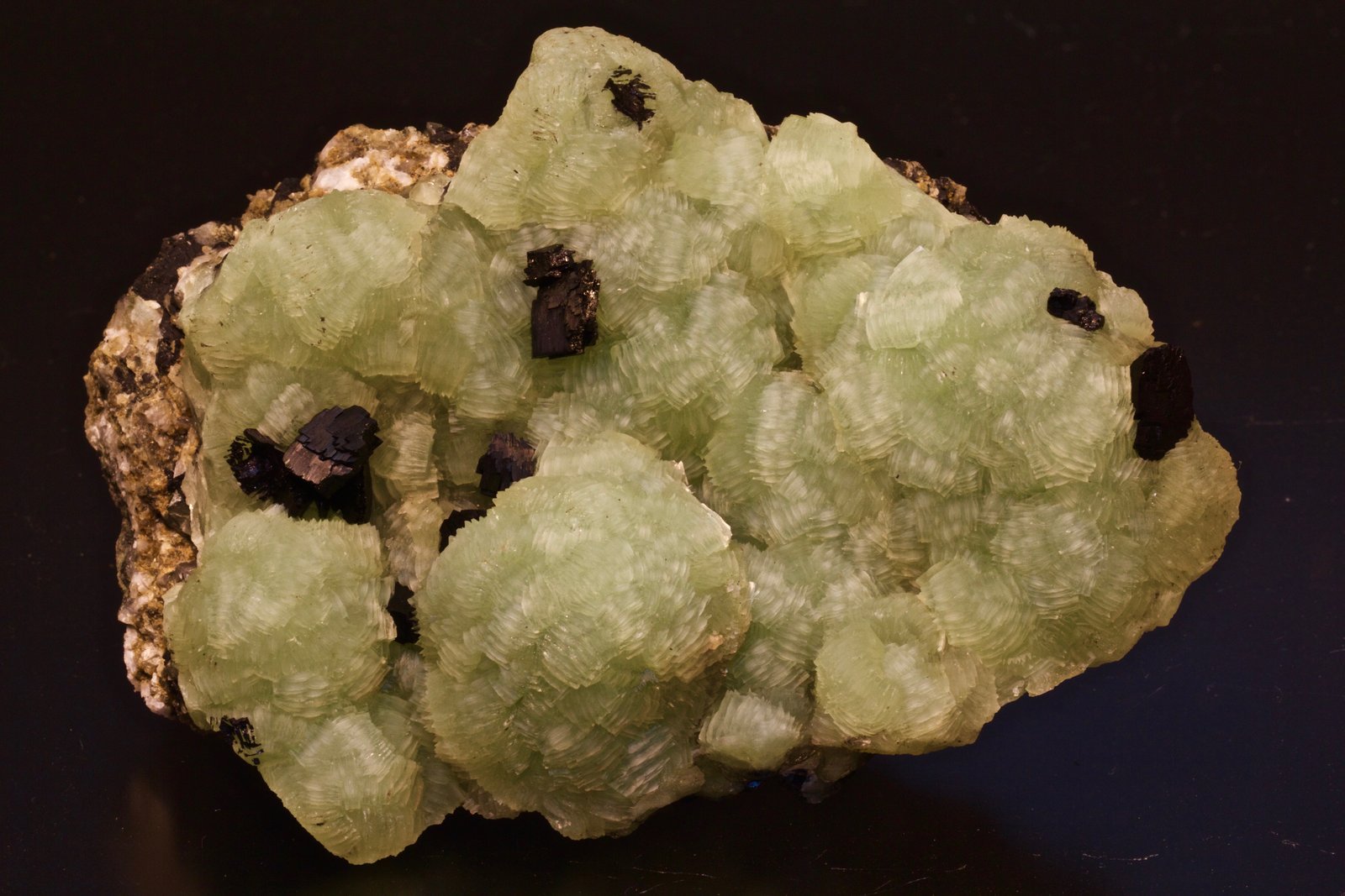 Babingtonite on Prehnite
12 cm. wide x 6 cm. high.
(Autor: vic rzonca)